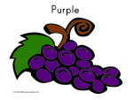 Purple Grapes